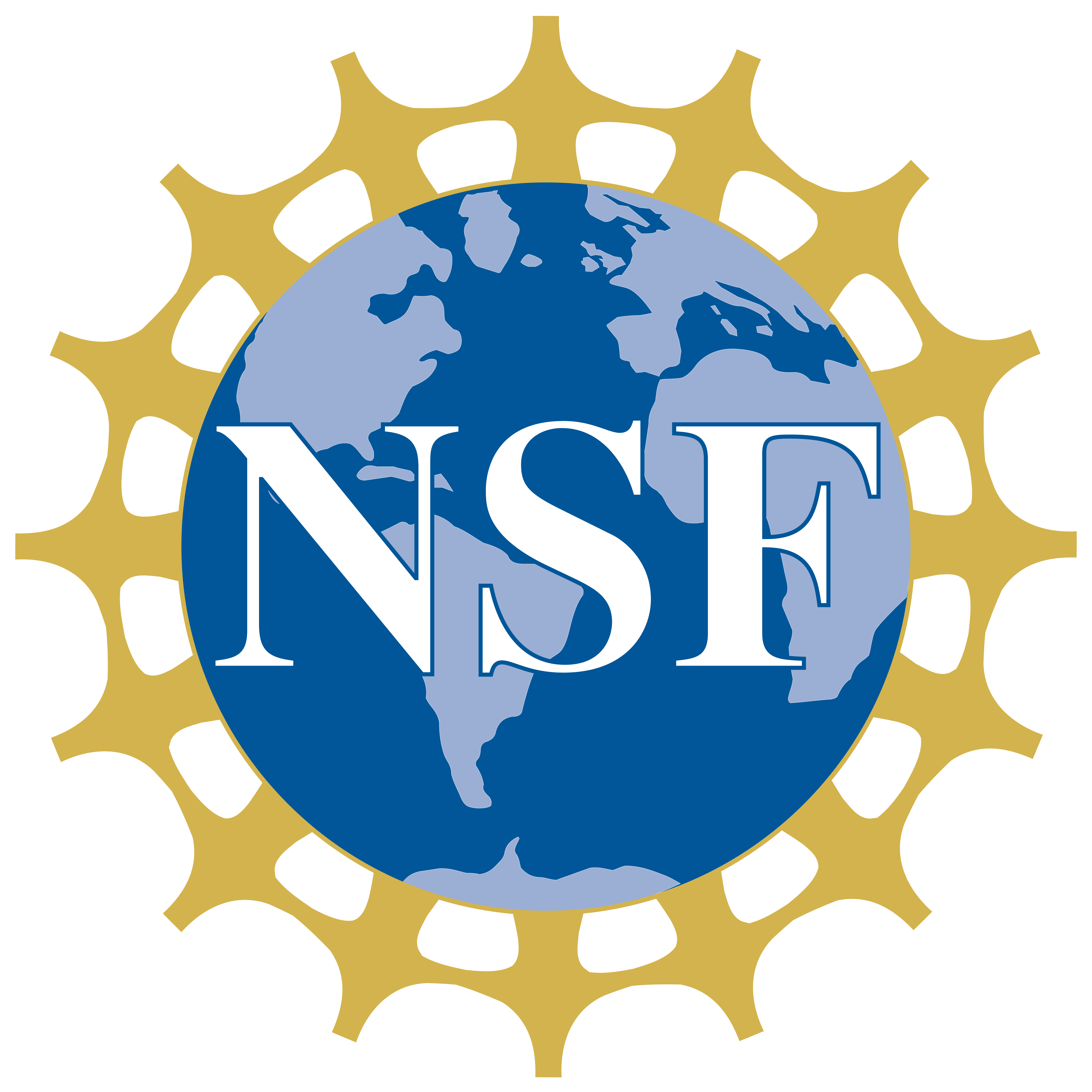NSF logo NSF logo
